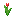 :red-tulip: